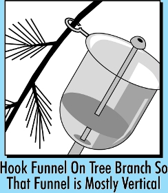Hook Funnel On Tree Branch So That Funnel is Mostly Vertical